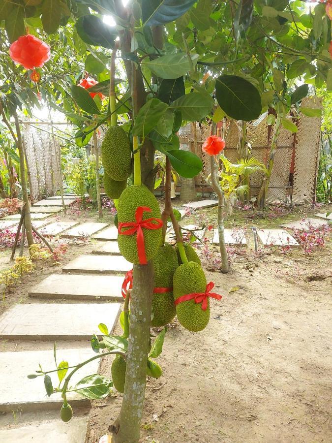 Homestay Nam Ham Luong Ben Tre Exteriér fotografie