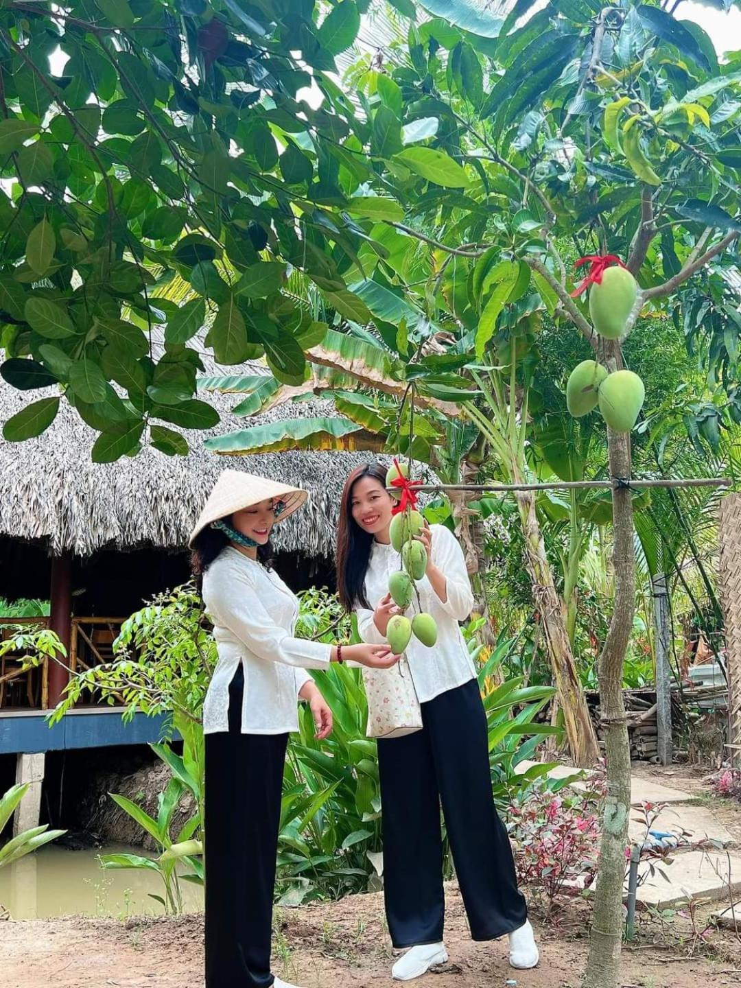 Homestay Nam Ham Luong Ben Tre Exteriér fotografie